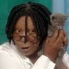 Cat Thrown Out On Verrazano Bridge Adopted By Whoopi Goldberg